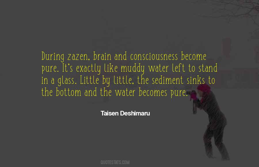 Quotes About Zazen #1019488