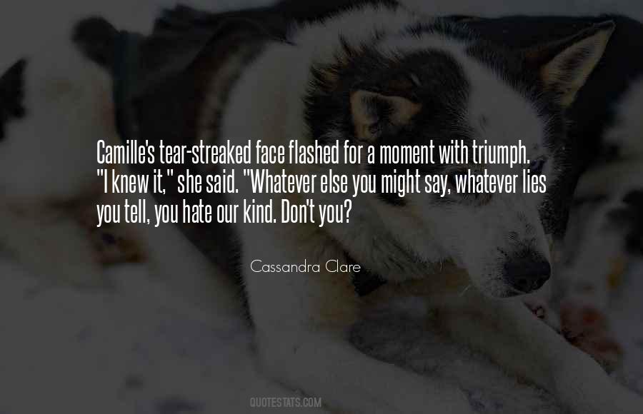 Quotes About Hate Being Ignored #9123