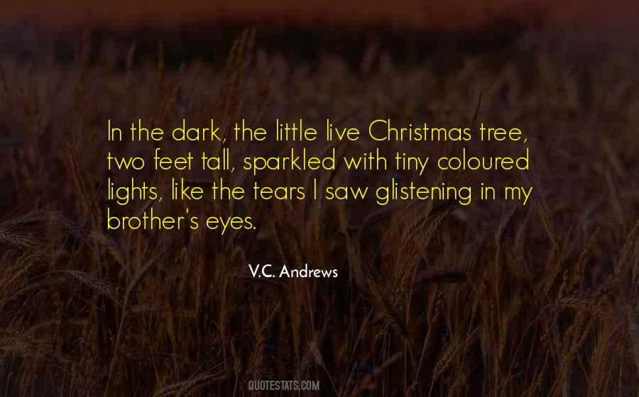 Quotes About Christmas Lights #1395837