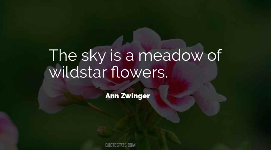 Meadow Flowers Quotes #1807665