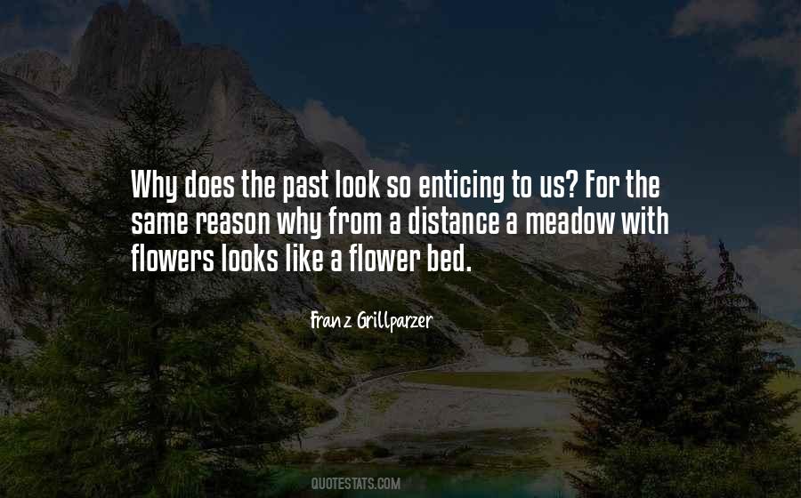 Meadow Flowers Quotes #403297