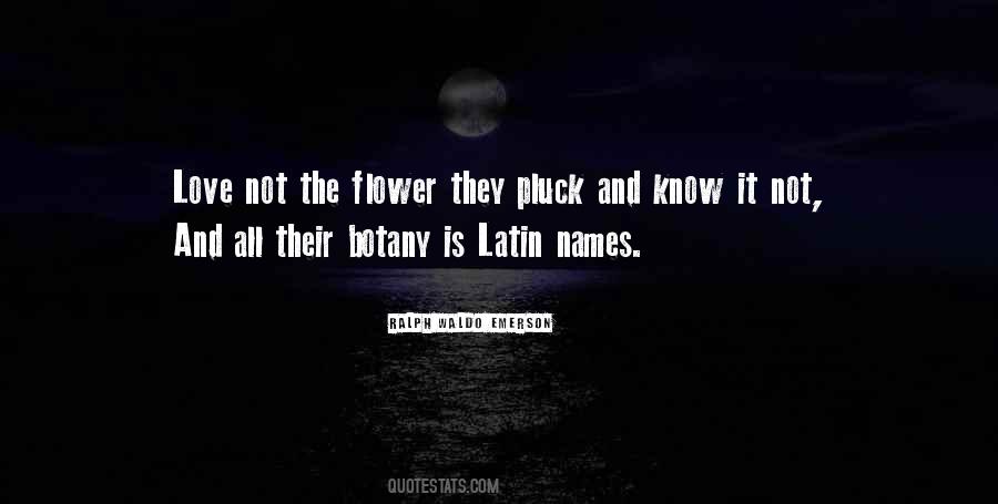 Quotes About Love Latin #1036417