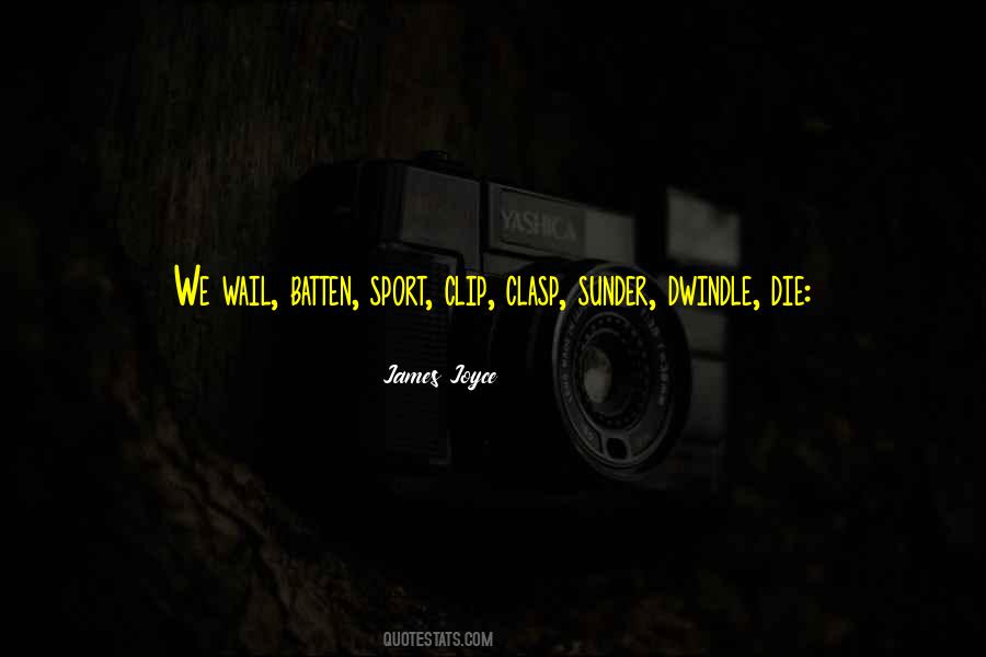 Enlightenment And Attitude Quotes #1405788