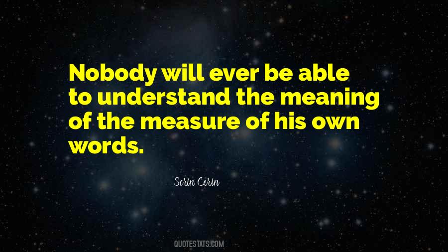 Quotes About Words Without Meaning #170559