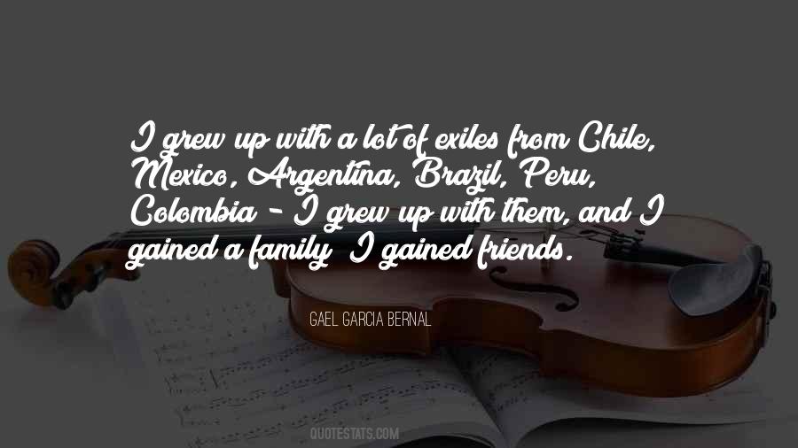 Quotes About Family Over Friends #22422