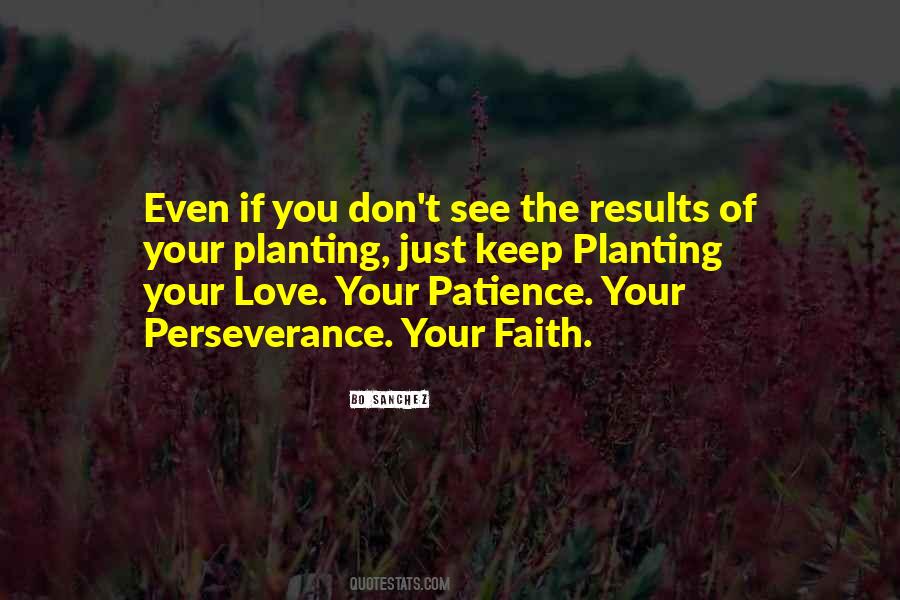Quotes About Perseverance In Love #829914