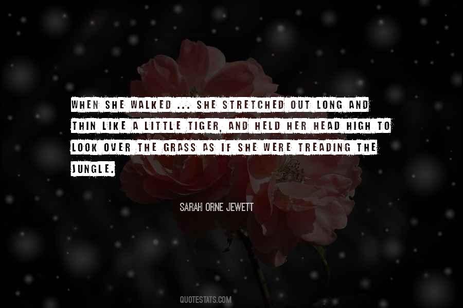 Orne Jewett Quotes #36958