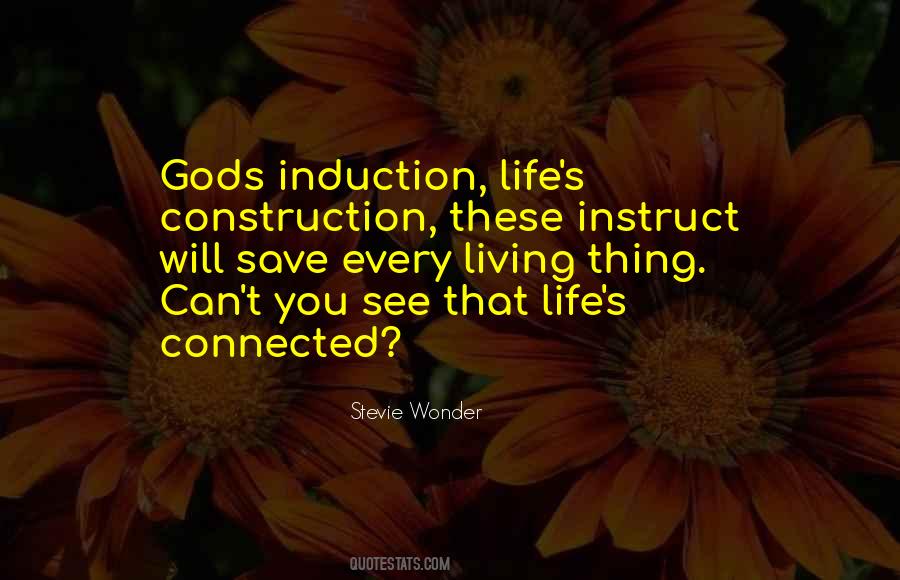 Quotes About Induction #1756289