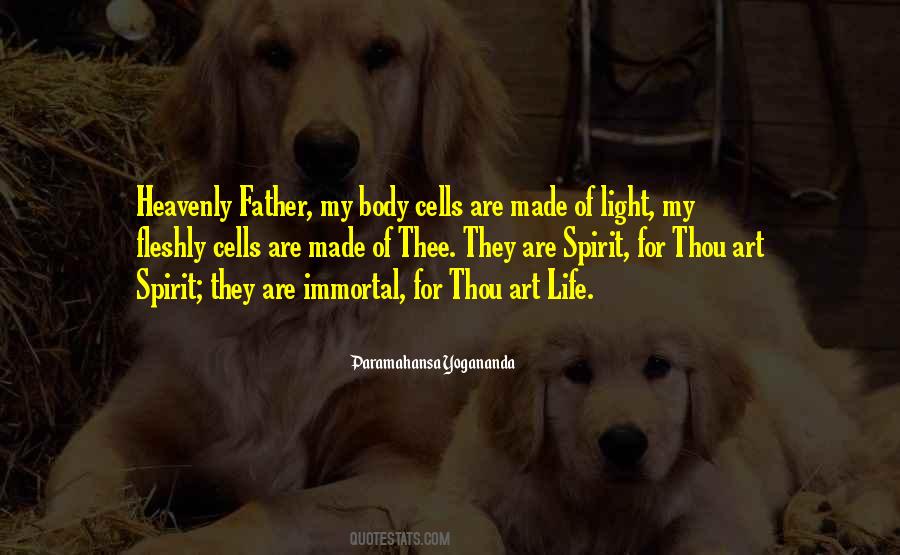 Spirit For Quotes #1082237
