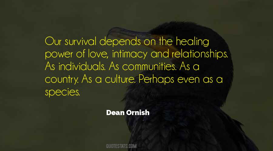 Love Of Culture Quotes #181441