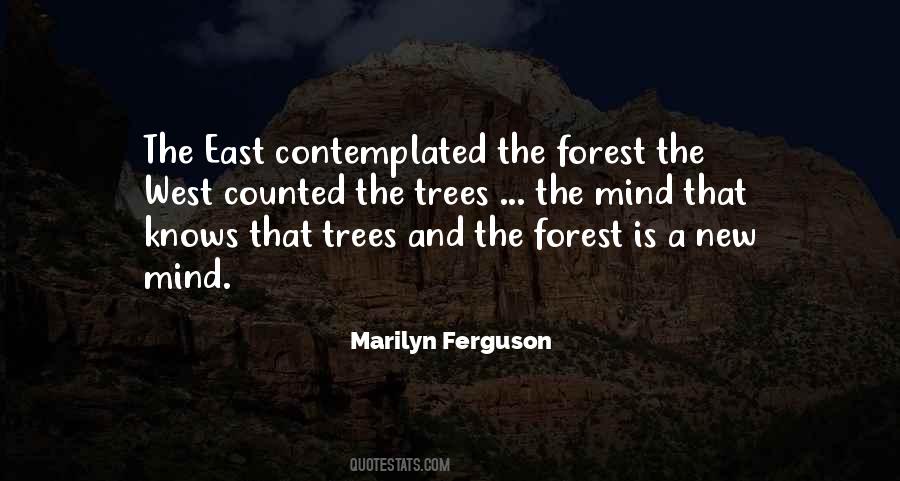 Quotes About The New Forest #1695936