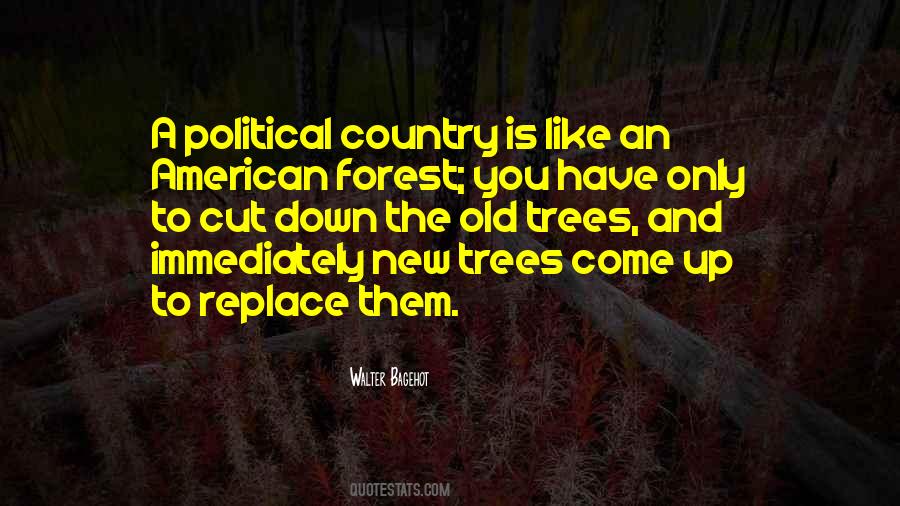Quotes About The New Forest #1763557