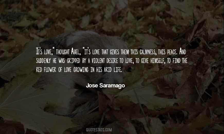 Quotes About Calmness And Peace #1150083