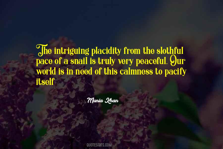 Quotes About Calmness And Peace #920404