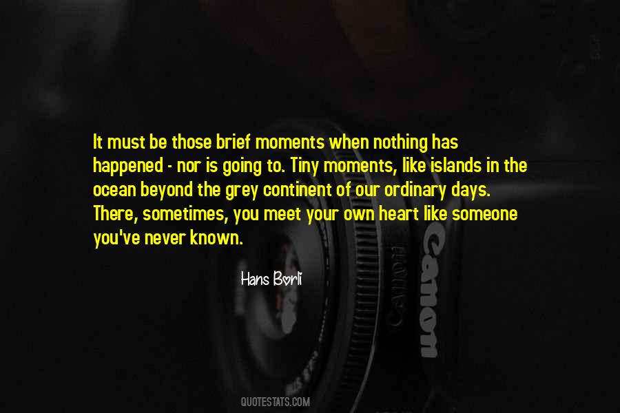 Quotes About Brief Moments #1339449