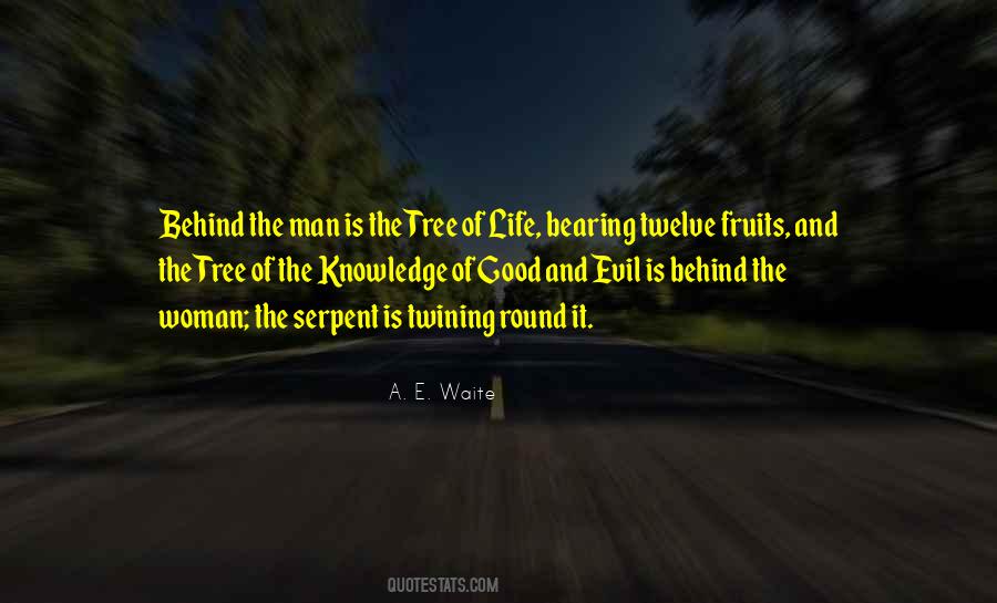 Quotes About Tree Of Knowledge #1621180