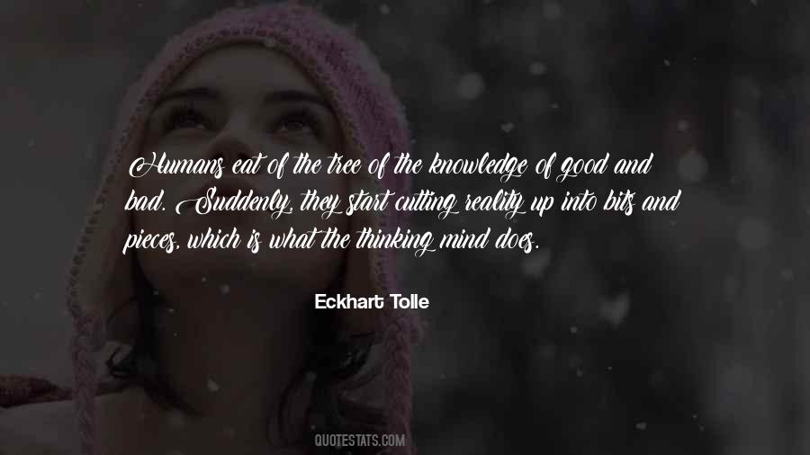 Quotes About Tree Of Knowledge #580917