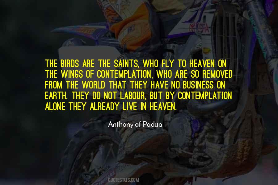 Birds Of Heaven Quotes #15867