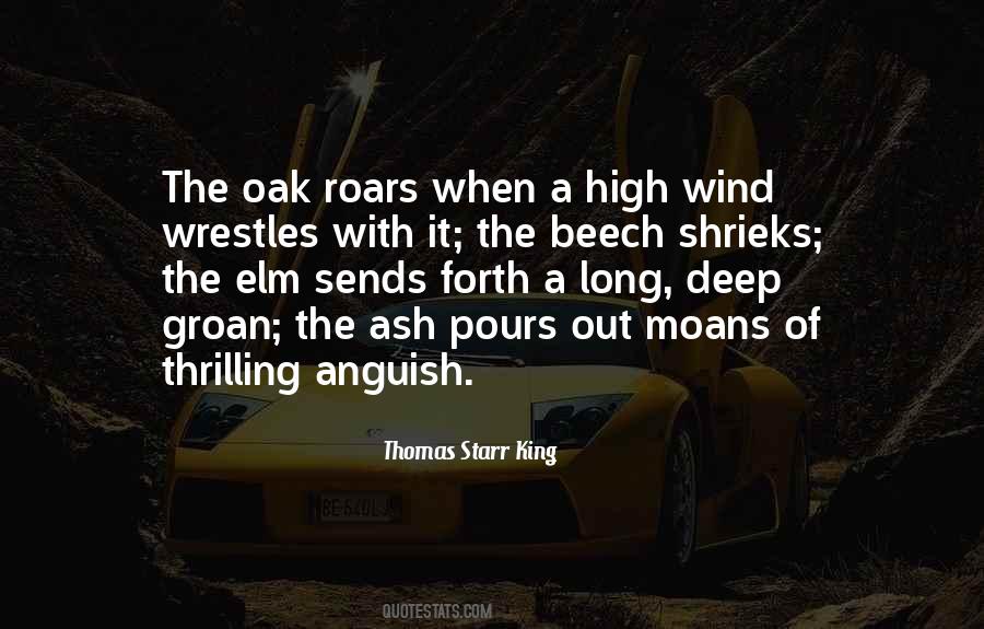 High King Quotes #170719