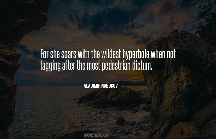 Quotes About Hyperbole #1607315