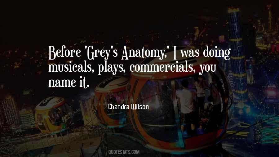 Quotes About Grey's Anatomy #1355733