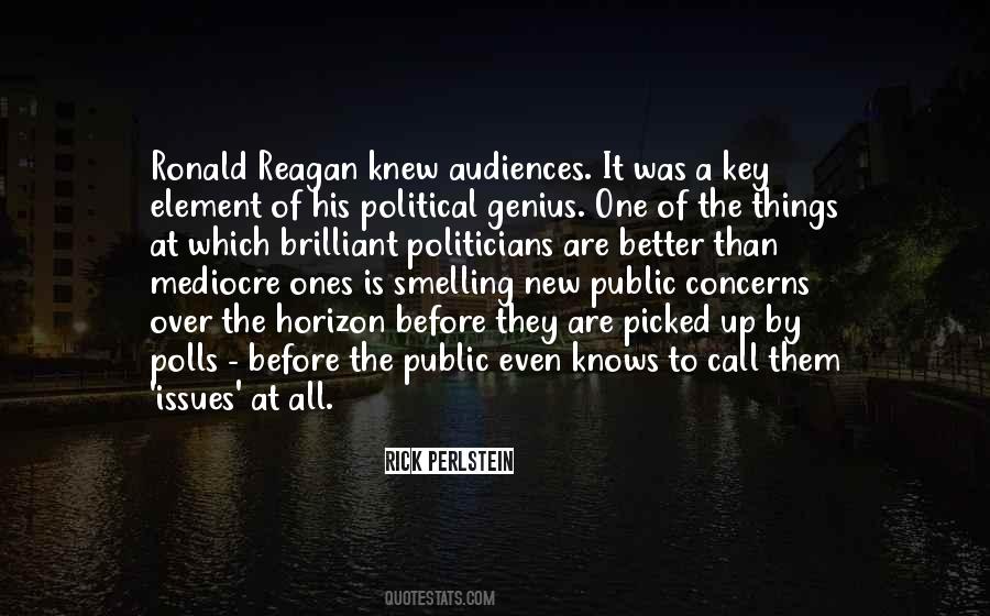 Political Issues Quotes #384477