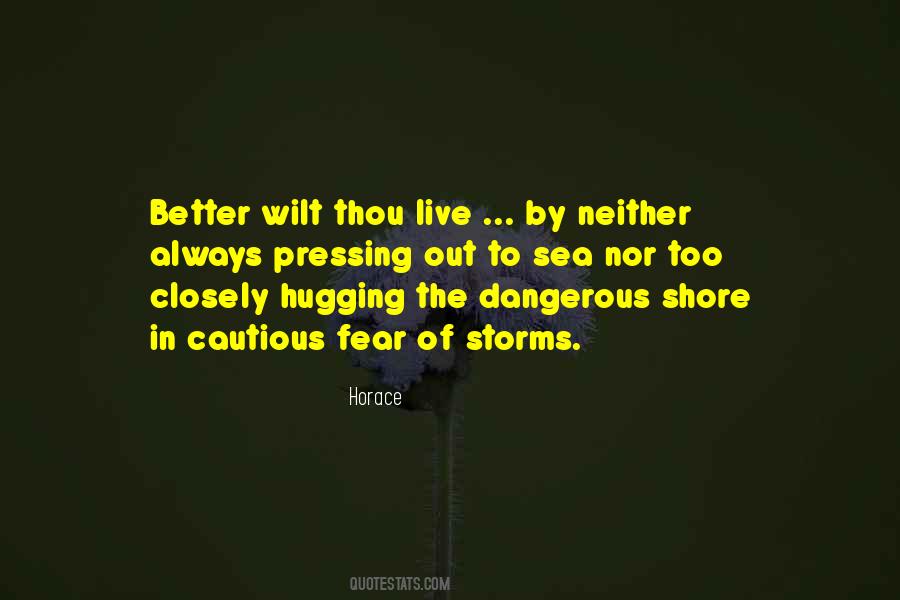 Sea Storm Quotes #1580972