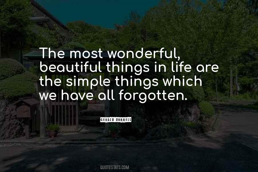 Quotes About Simple Beautiful Things #1247031