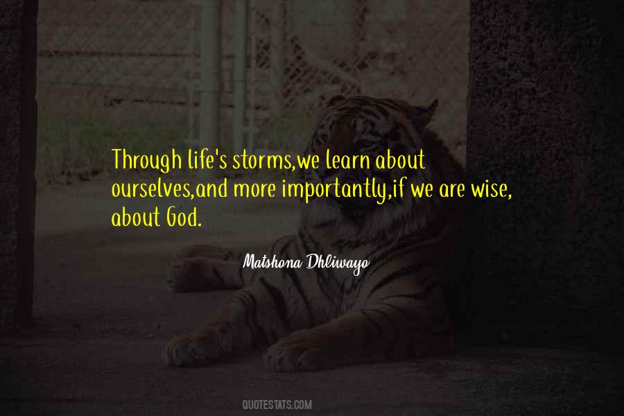 Life S Storms Quotes #1119734