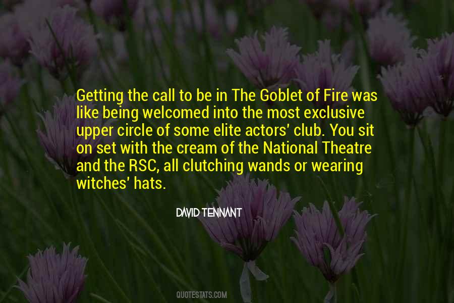 Quotes About The Goblet Of Fire #1763260