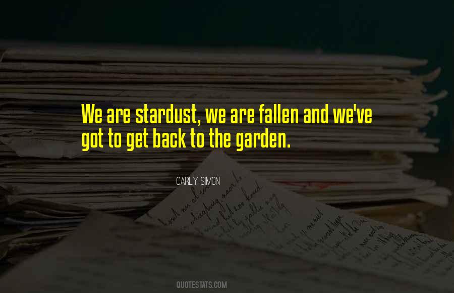 Quotes About Stardust #1118733