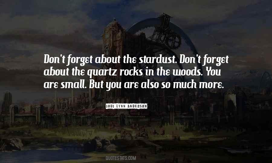 Quotes About Stardust #884786