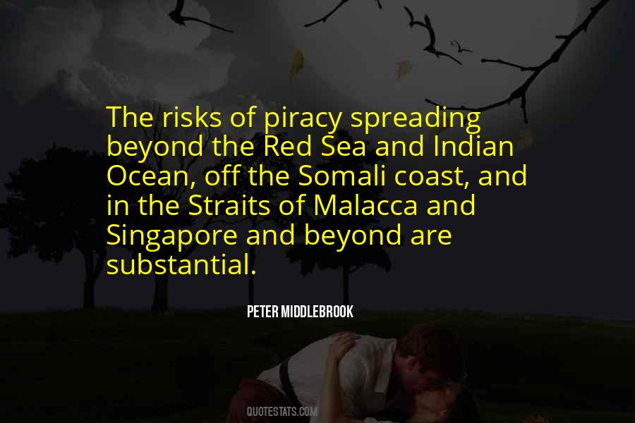 Quotes About Piracy #357854