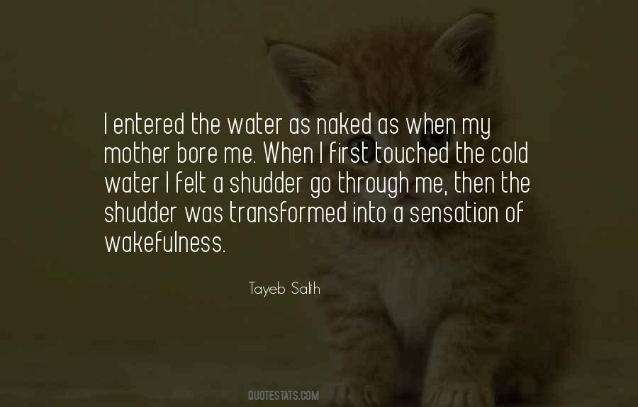 Quotes About Immersion #575952