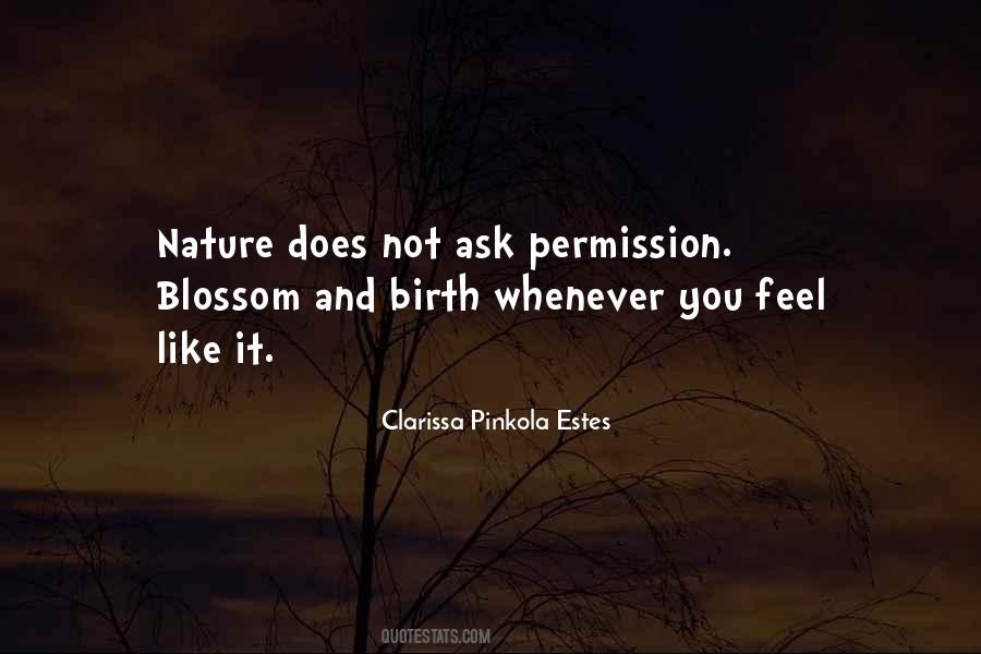 Clarissa Estes Pinkola Quotes #587803