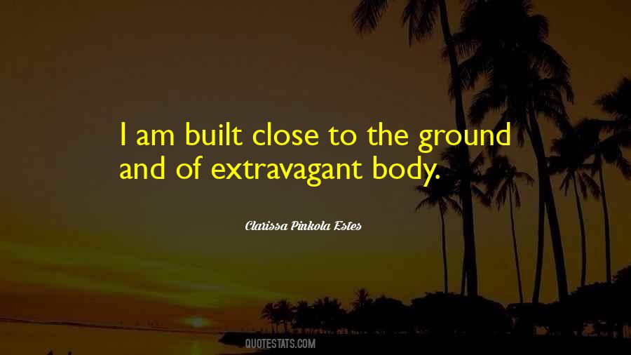 Clarissa Estes Pinkola Quotes #743036