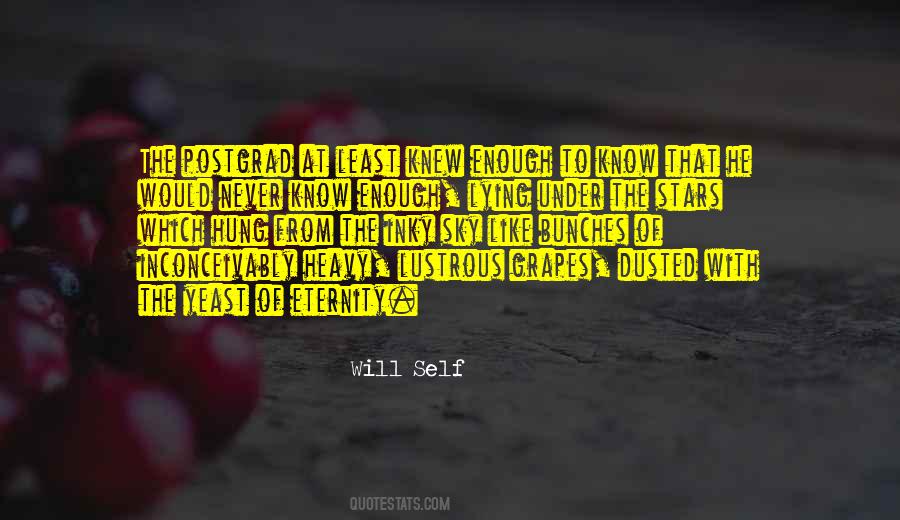 Quotes About Lying Under The Stars #1361837 Quotes About Lying Under The Stars #1361837