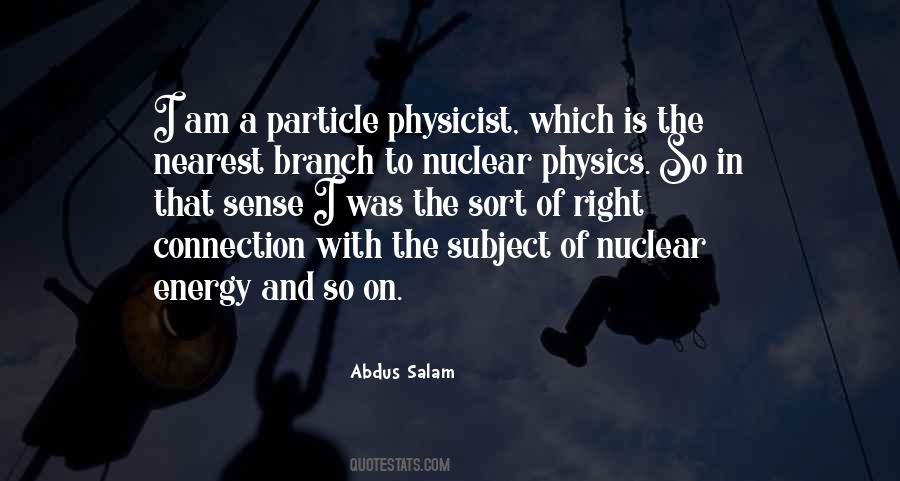 Particle Physicist Quotes #818242