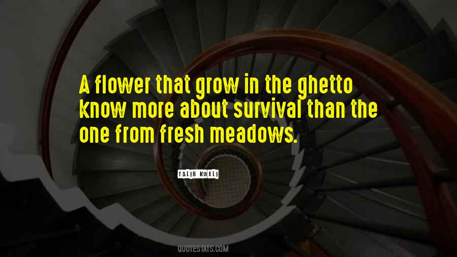 Quotes About Meadows #592565