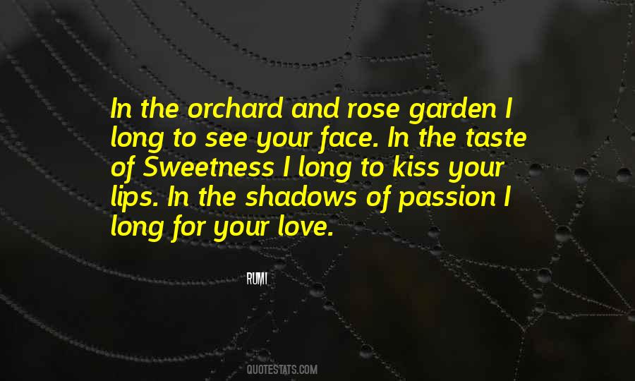 Quotes About Shadows Of Love #951707