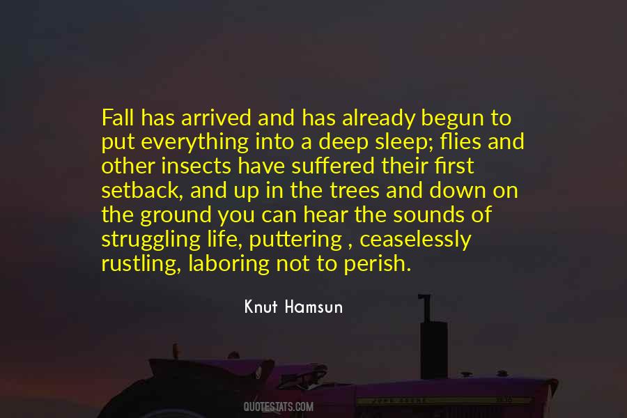 Quotes About Struggling In Life #105948