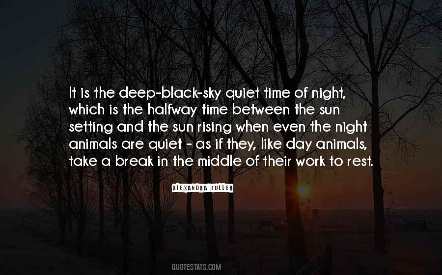 Quotes About The Night Time #166366
