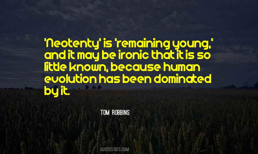 Quotes About Software Developers #490094