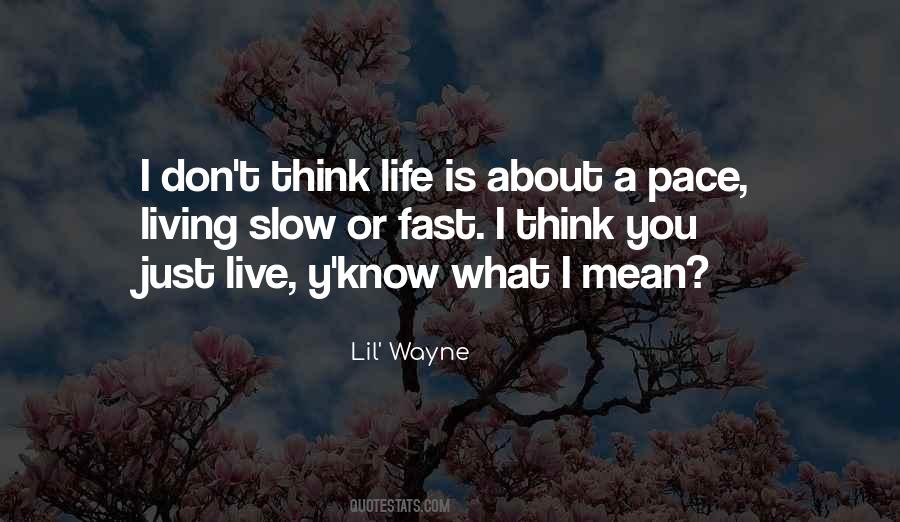Y T Quotes #528709