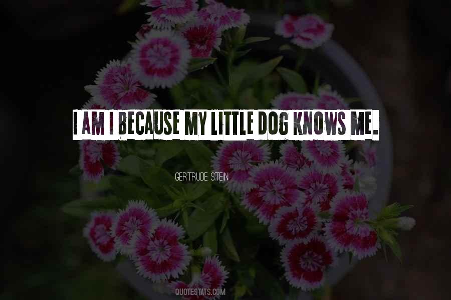 Knows Me Quotes #1361005