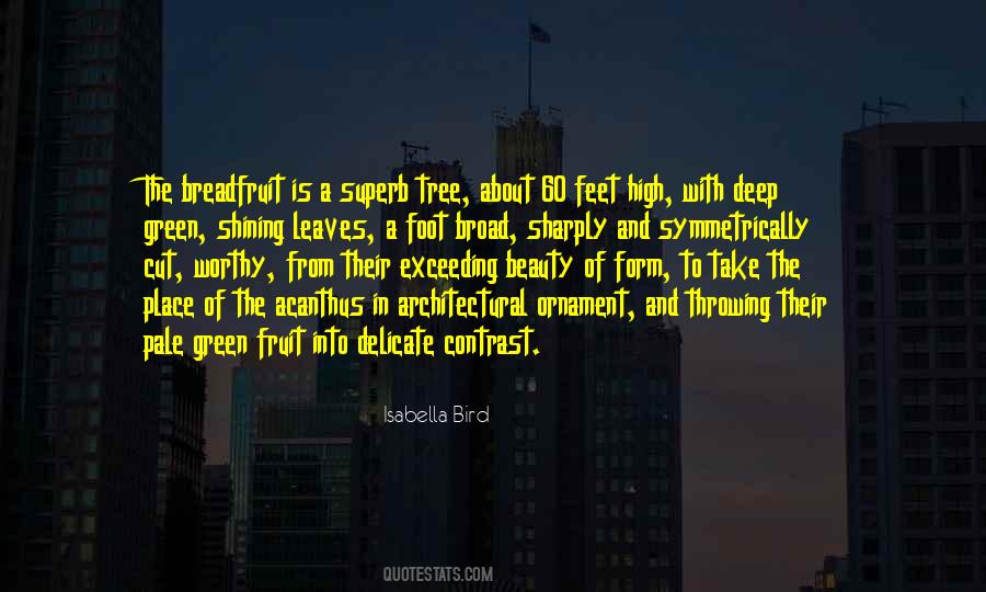 Beauty Of A Place Quotes #304817