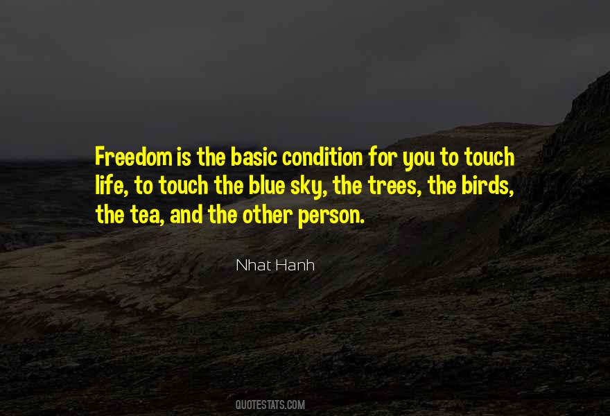 Quotes About Freedom And Birds #1341173