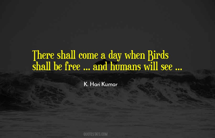 Quotes About Freedom And Birds #449721
