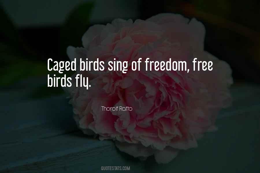 Quotes About Freedom And Birds #529950