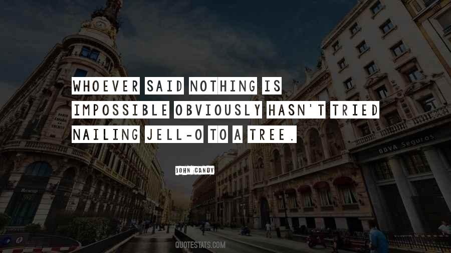 Quotes About Nothing Is Impossible #170133